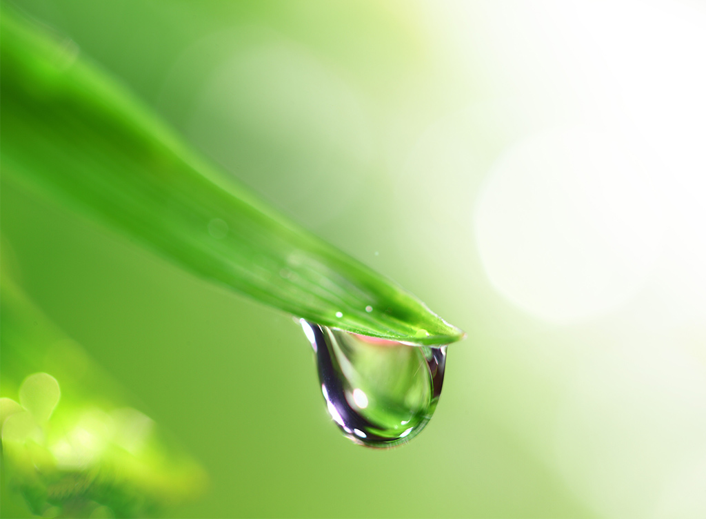 wassertropfen_1024
